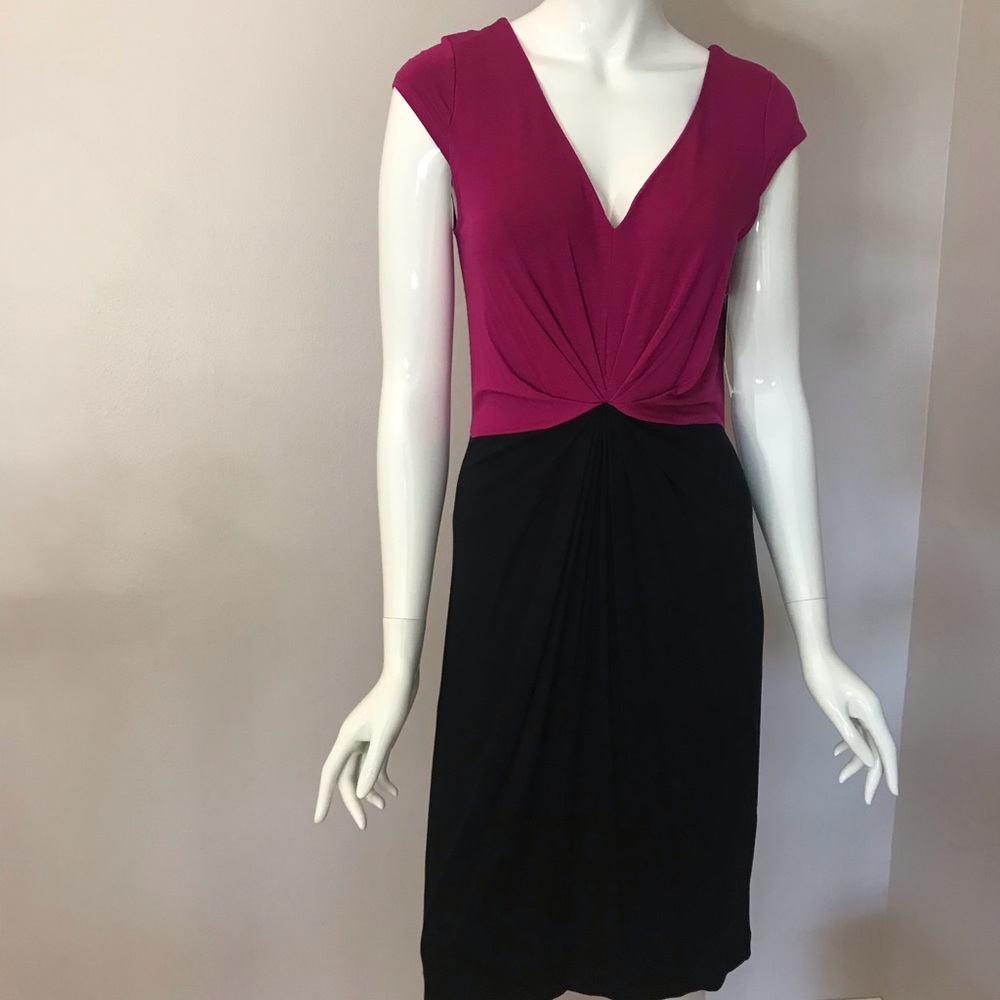 Color block dress by Karen Kane